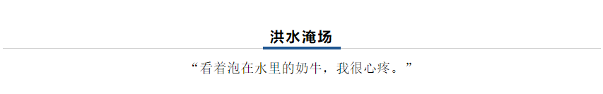 【乳報·聚焦】“豫”難而上的中原牛人“太中了”！