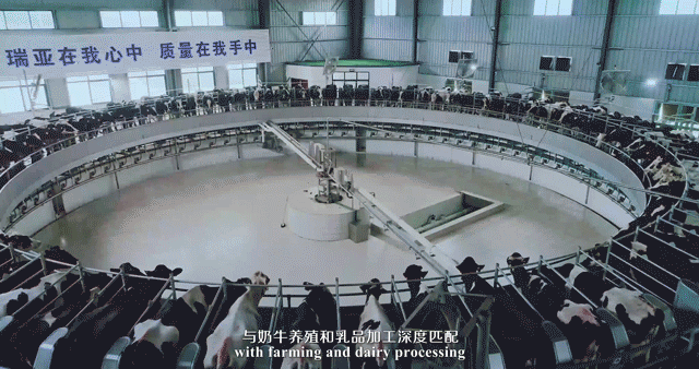 快訊 | 河南省委常委、省紀委書記、省監(jiān)委主任任正曉蒞臨花花牛乳業(yè)集團新蔡瑞亞牧場調(diào)研