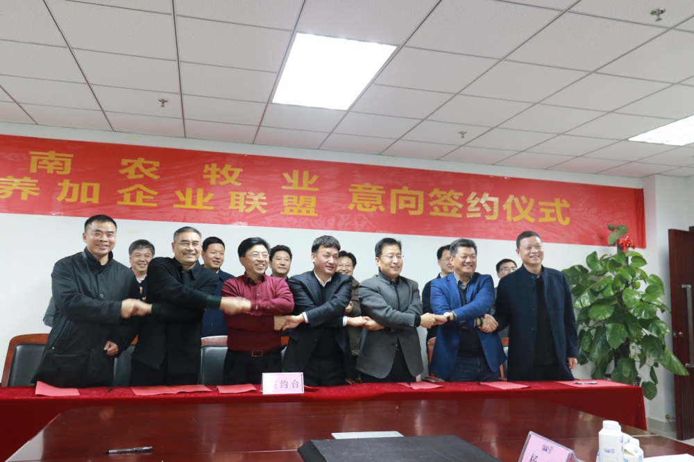 涉農(nóng)企業(yè)強強聯(lián)合，“抱團(tuán)取暖”共迎企業(yè)發(fā)展的春天