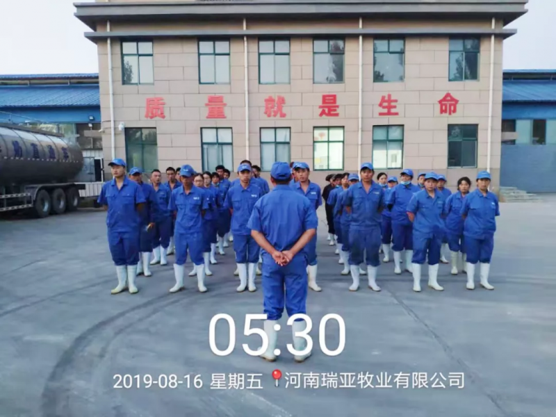 小晨會·大能量——砥礪奮進的花花牛，加油！